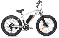 Leitner Electric Fat Bike | High Power 500W