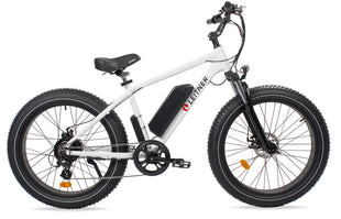 Leitner Electric Fat Bike | High Power 500W