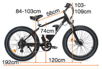 Leitner Electric Fat Bike | High Power 500W