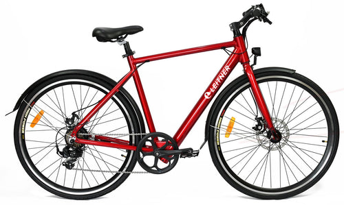 Leitner Ultimate Step-Over 700c